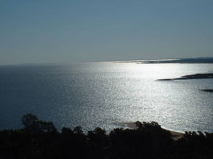 Colonia