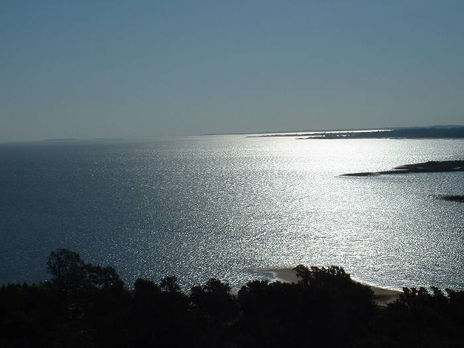 Colonia