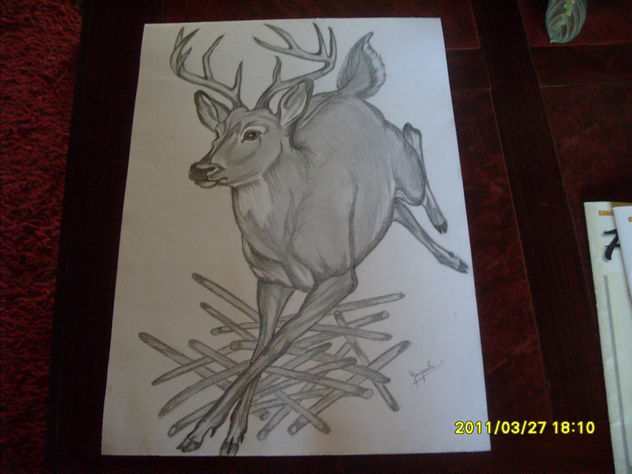 venado