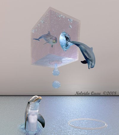 Delfines Mixed media Others Others