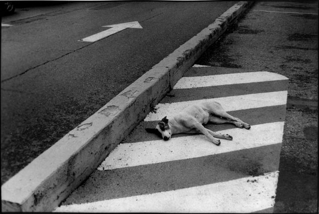 De la serie: "Apuntes de una Ciudad Invisible" Otras temáticas Blanco y Negro (Química)