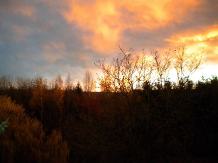 Blieskastel-Biesing...
