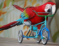 El ciclista...