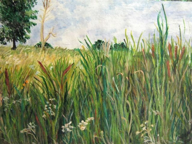 CAMPO Y LAGUNA Acrylic Paper Landscaping