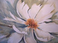 FLOR BLANCA