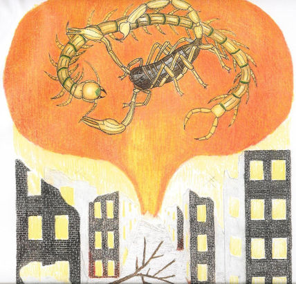 Entomoarte-surrealista