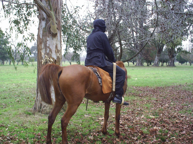 Ninja 2 Fotoperiodismo y documental Color (Digital)