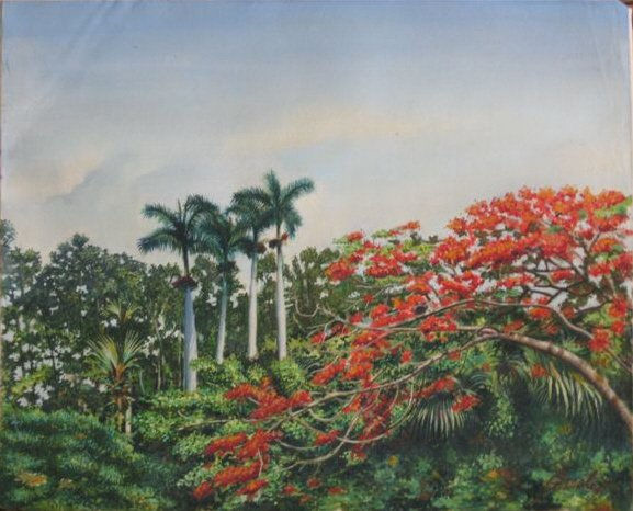 Flamboyan Óleo Lienzo Paisaje