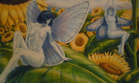 Faeries of my Fantasies