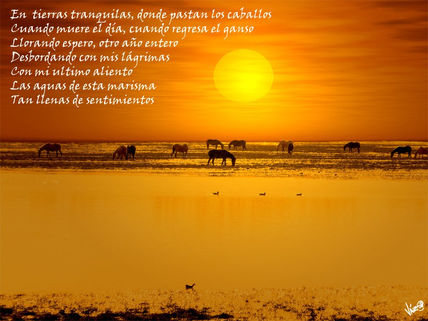 Las marismas