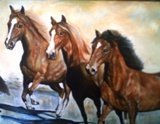 Peruvian Paso  Horse Oil Canvas Animals