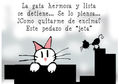 POR LOS TEJADOS DE PARÍS 6