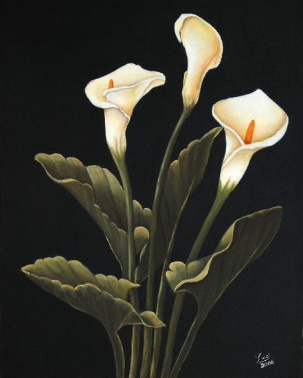 CARTUCHOS Oil Canvas Floral Painting