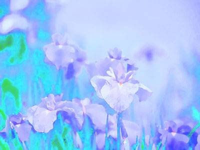 Flores azul verdoso