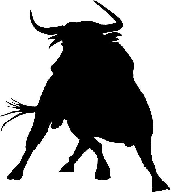 logo toro bravura