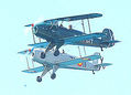 Vuelos acrobaticos. Motril 13-Julio.08 zipitoste maggic