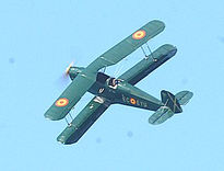 Acrobaticos motril...