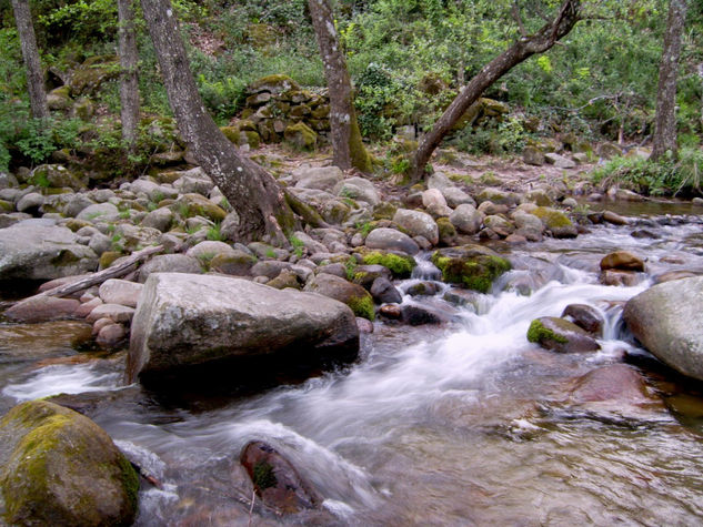 ¿Extremadura, o Asturias? 