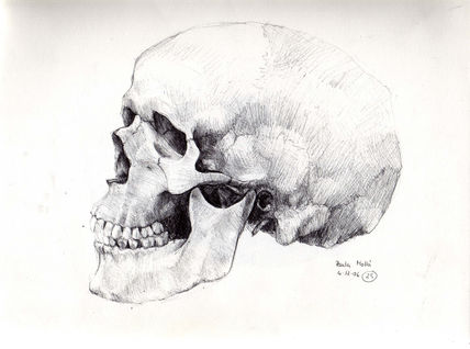 Calavera1