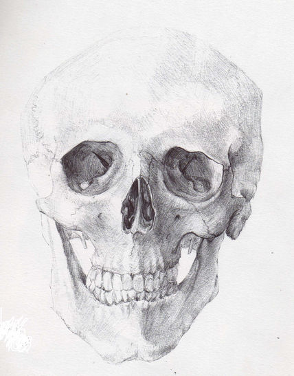 Calavera 2