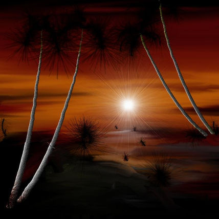 Entardecer