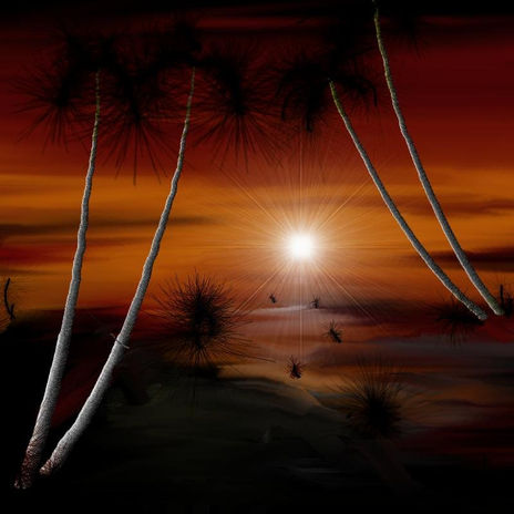 Entardecer