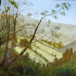 Exposición “Galiza 5 visións”, París. 2007 thumbnail 1