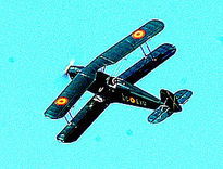 Festival aereo...