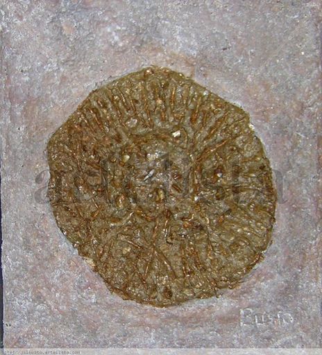 Textura 012