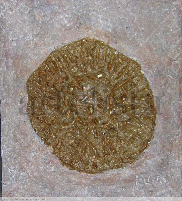 Textura 012