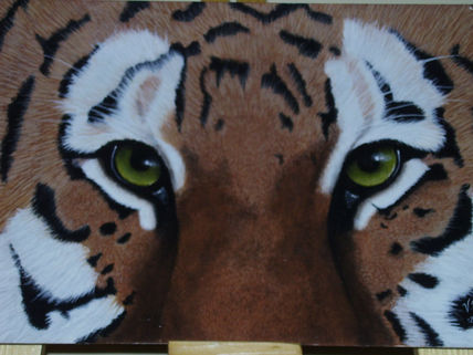 Ojos de tigre