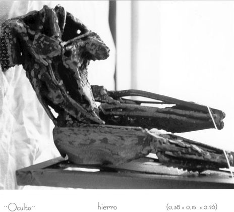Torso