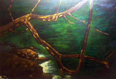 Viaje a cuango