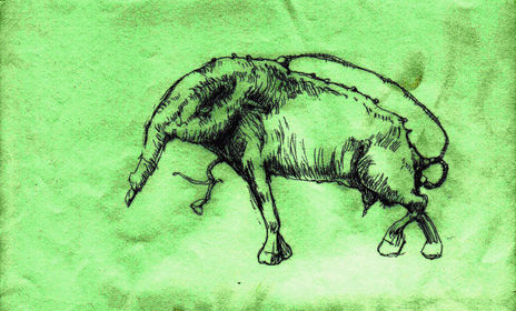 Bestiario
