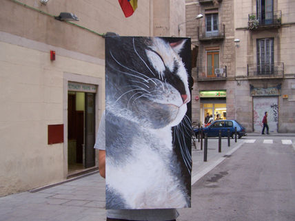 gato IX
