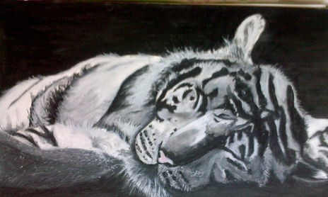 First Drawings