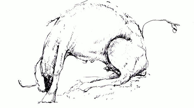 BESTIARIO