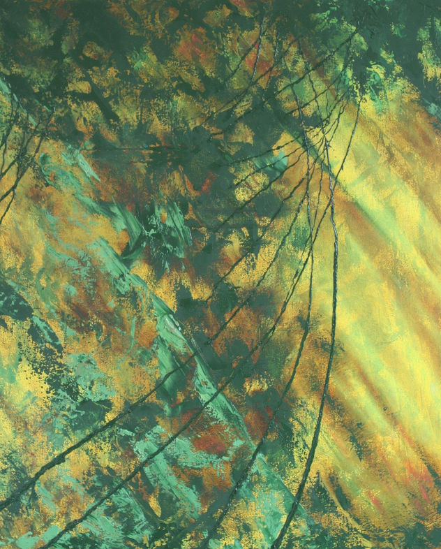 AMAZONIA ABSTRACTA