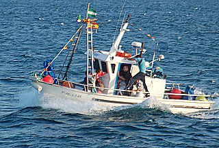 Acompañamiento Virgen del Carmen 