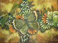 mariposas en el jardin