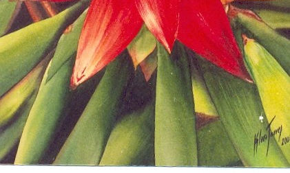 flores y flores