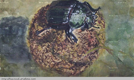 ANIMALADAS ILUSTRADAS