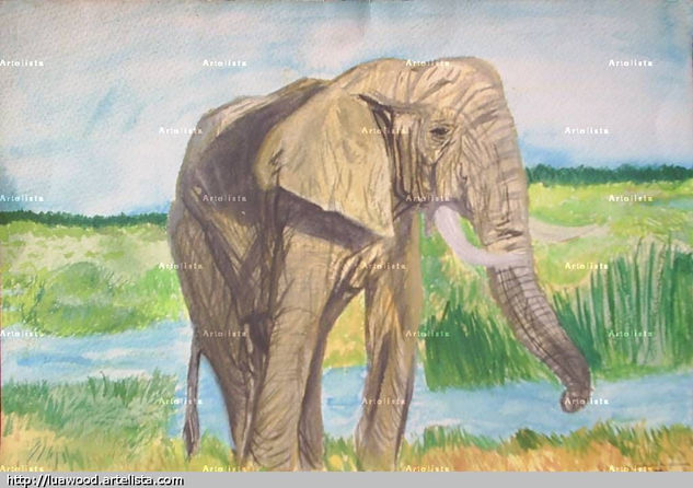 Elefante africano Acuarela Cartulina Animales