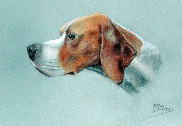 "Mi perra Zara" Pastel Papel Animales