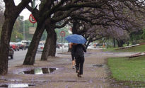 Mujer de Noviembre