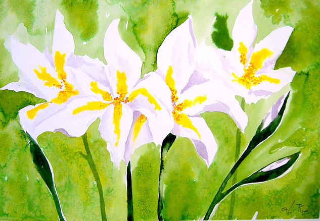 azucenas - vendido Watercolour Paper Floral Painting