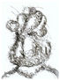 PROTUBERIA,1990
