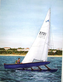 Navegando por la costa