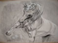 Caballo