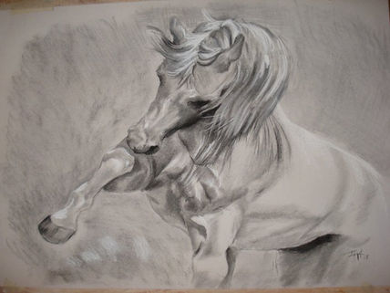 Caballo